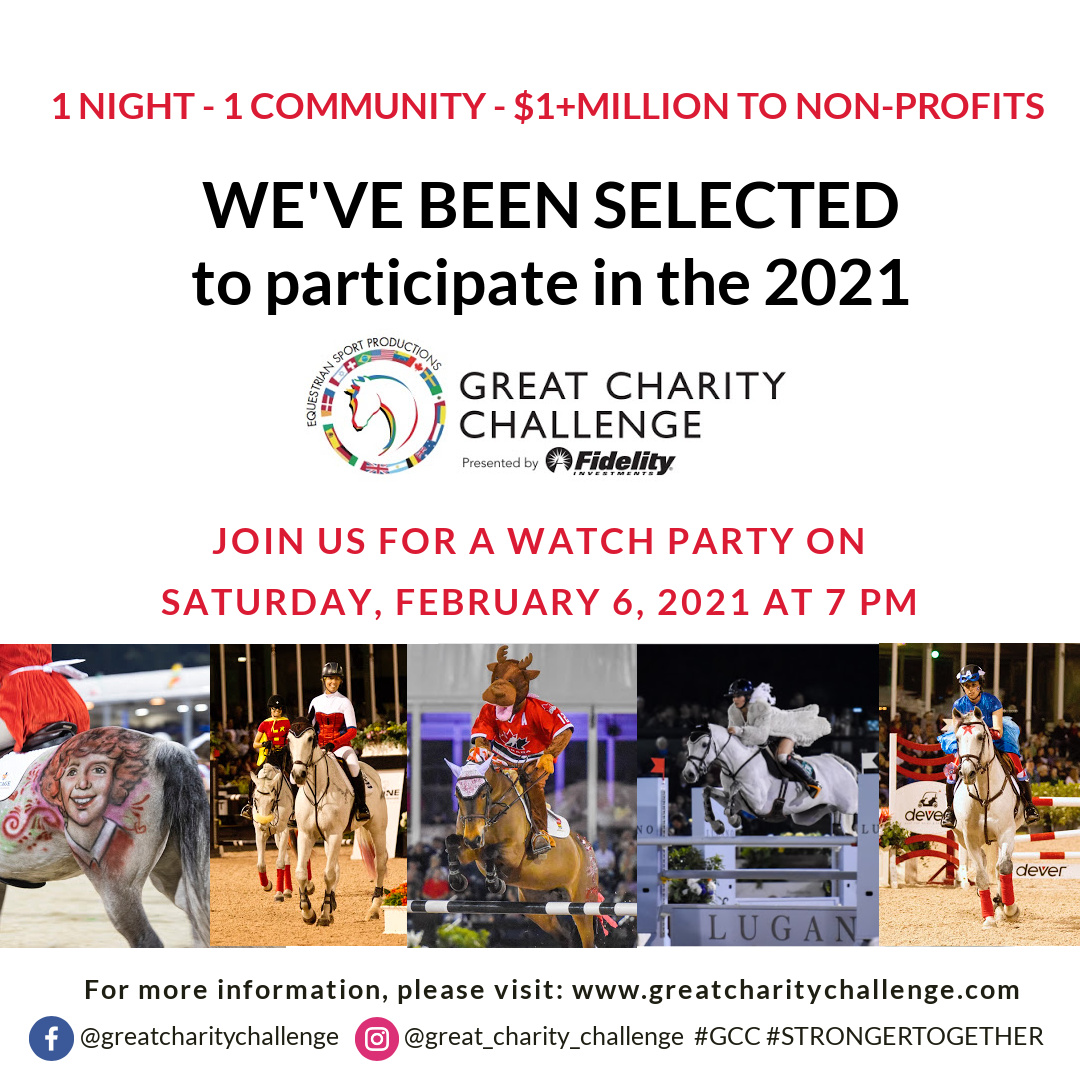 Great Charity Challenge